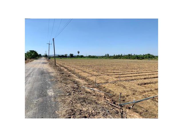 ขายที่ดิน10ไร่ โฉนดครุฑแดงพร้อมโอน ใกล้เทศบาลวังศาลา เข้าออกได้หลายทาง ติดถนนสาธารณะ วิวสวย  บรรยากาศดี