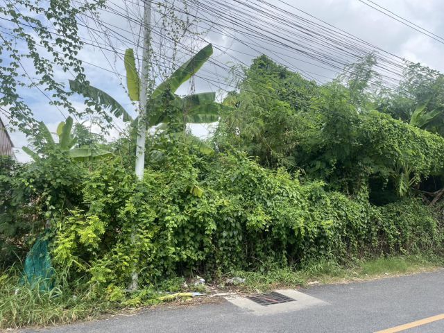 ขายที่ดิน 100 ตร.ว. ซอยวัดพุฒิ  ห่างถนนราชพฤกษ์ 100 ม. ติดสาธารณประโยชน์