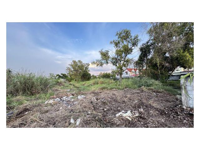 ขาย ที่ดิน 1 ไร่ 80 ตารางวา ติดทางด่วนมอเตอร์เวย์ สาย 7 ซอยชัยพรวิถี 15 หนองปรือ บางละมุง ชลบุรี