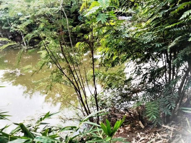 ขายที่ดินแปลงสวย ติดถนนลาดยาง ติดคลองสาธารณะ เนื้อที่ 3-2-08 ไร่ เหมาะปลูกบ้านทำเกษตรหรือทำธุรกิจ