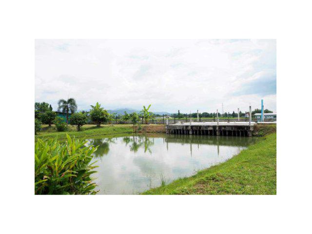 ขายที่ดินพร้อมสิ่งปลูกสร้าง 6 ไร่ บ้านร้องวัวแดง ต.ร้องวัวแดง อ.สันกำแพง จ.เชียงใหม่