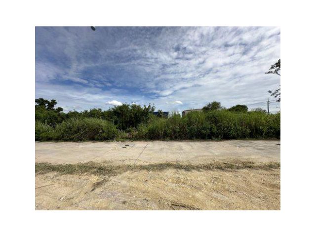 ขายที่ดิน 5 ไร่ ซอยนาพร้าว ต.บางพระ อ.ศรีราชา จ.ชลบุรี