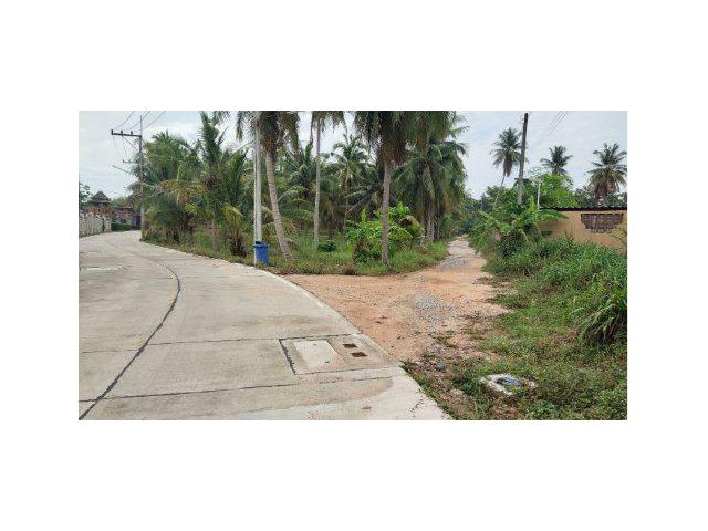 ขายที่ดิน 518 ตารางวา พัทยา ต.หนองปลาไหล อ.บางละมุง จ.ชลบุรี