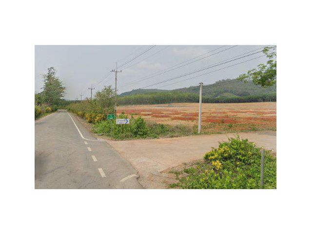 ขายสวนทุเรียน 41 ไร่ ติดถนนลาดยาง ต.กะเฉด อ.เมือง จ.ระยอง