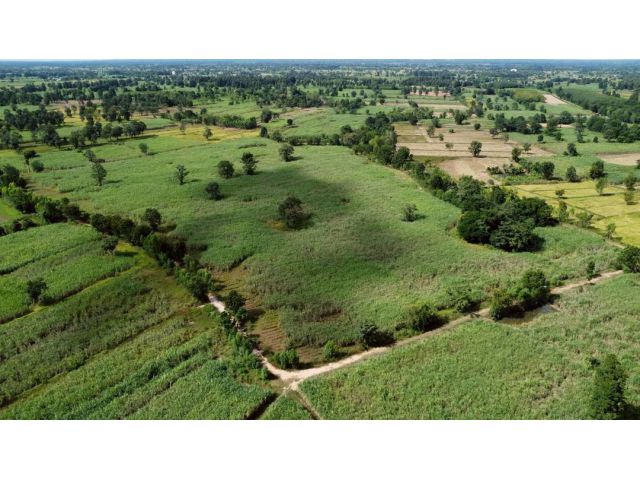 ขายที่ดินต.พะไล อำเภอเมือง จังหวัดบุรีรัมย์ เนื้อที่ 361 ไร่ ขายไร่ละ 200,000 บาท - ที่ดินทำไร่