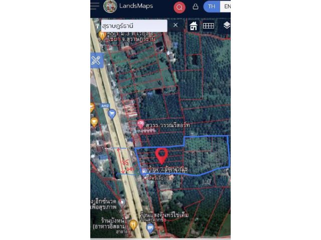 ขายด่วน ที่ดินทำเลดี ติดกับถนน สายเอเชีย สาย 41 อ. ไชยา จ.สุราษฏร์ธานี