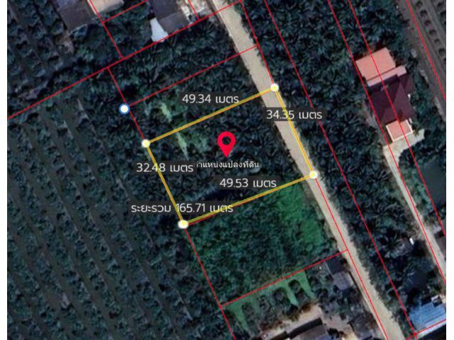 ขายที่ดิน 1 ไร่ ปัจจุบันปลูกมะม่วง ตำบลท่าไม้ อำเภอกระทุ่มแบน จังหวัดสมุทรสาคร