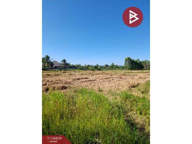 ขายที่ดินเปล่า เนื้อที่ 6 ไร่ 1 งาน 57 ตารางวา ขุนตาล เชียงราย