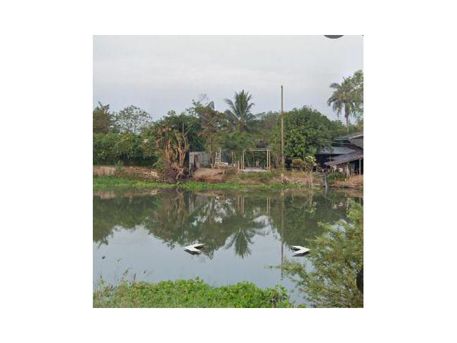 แบ่งขายที่ดินต.นราภิรมย์ แปลงสวย ทำเลดี ติดถนนคอนกรีต ติดคลองทวีวัฒนา เนื้อที่ 1ไร่ เหมาะปลูกบ้านพักอาศัยหรือทำธุรกิจ