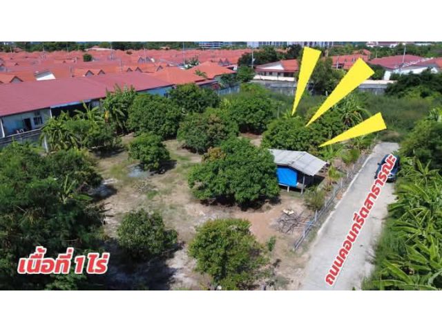 ขายที่ดินพร้อมสวนมะม่วงใกล้หาดสุชาดาหาดแสงจันทร์จ.ระยองเนื้อที่1ไร่