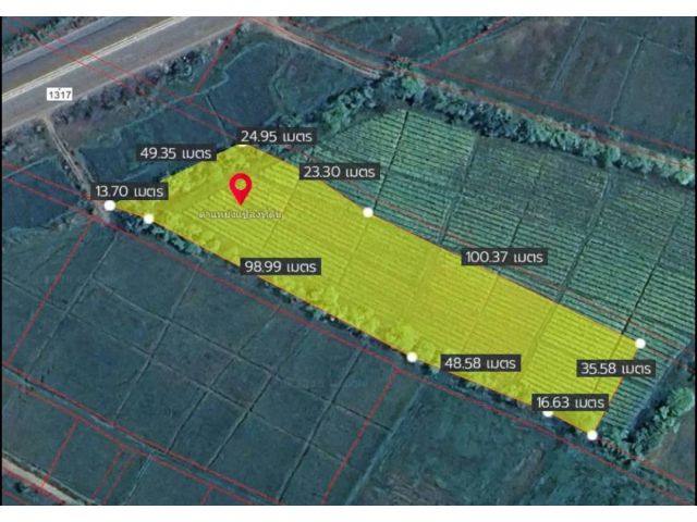 +++ ที่ดินต่ำกว่าราคาประเมิน 4 ไร่ 1 งาน 55 ตรว. ติดทางหลวง1317 สันกำแพง-แม่ออน  <<<