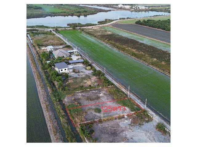 เจ้าของขายเอง ขายที่ดินใกล้บึงน้ำใหญ่ 125ตรว. ขุนศรี ไทรน้อย นนทบุรี