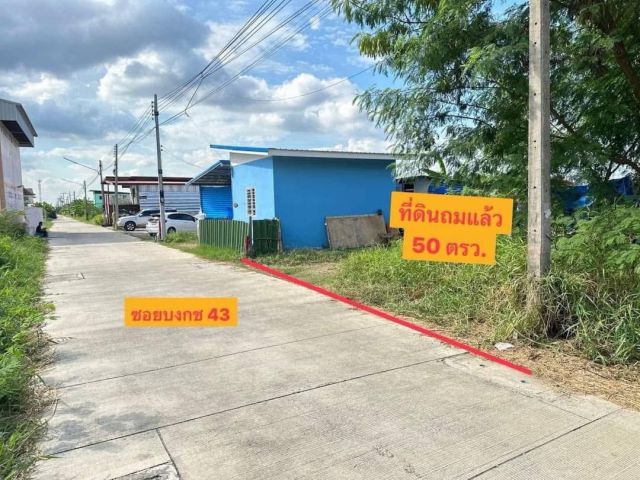 ขายที่ดินถมแล้ว เป็นแหล่งชุมชน เข้าออกได้หลายทาง ด้านหน้าแปลงติดถนนเลียบคลอง2 ด้านท้ายแปลงติดถนนลาดยาง เข้าออกได้ การคมน
