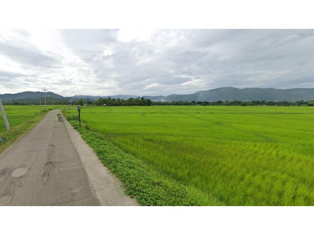 L597 ขายที่ดินเปล่า 105-0-81.4 ไร่ (ต.ทาสบเส้า อ.แม่ทา จ.ลำพูน)