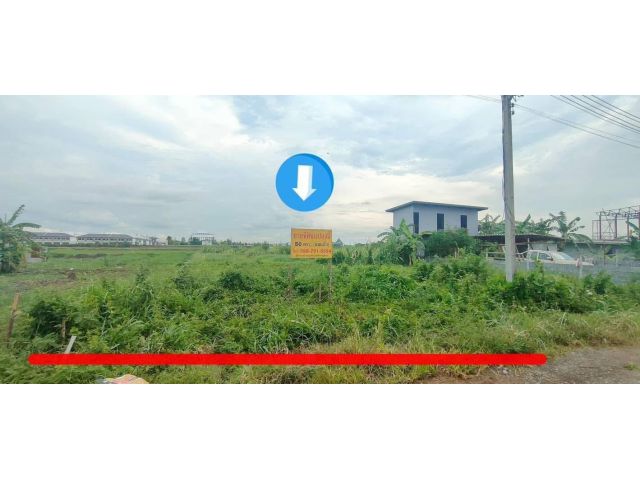 ที่ดินเปล่า เนื้อที่ 50 ตรว. เหมาสำหรับการสร้างบ้าน โกดัง รูปแปลงที่ดินเป็นสี่เหลี่ยมผืนผ้า  ที่ดินติดถนน มีทางเข้าออก 2