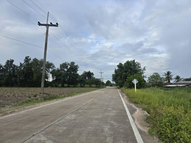 ด่วน ขายที่ดินเปล่าติดถนนหลวง ราคาถูก