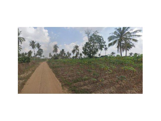 ขายที่ดิน 9 ไร่ ต.ห้วยใหญ่ อ.บางละมุง จ.ชลบุรี