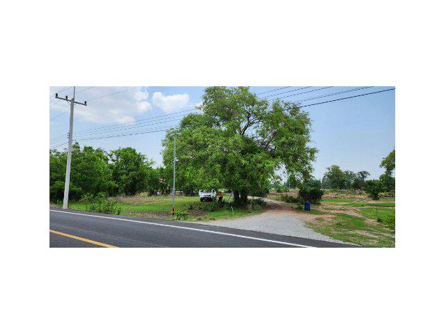 ขายที่ดิน 1 ไร่ ติดถนนลาดยาง ต.หนองสาหร่าย อ.ดอนเจดีย์ จ.สุพรรณบุรี