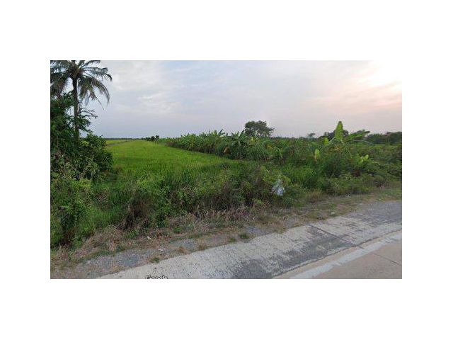 ขายที่ดิน 53 ไร่ คลองแปด ใกล้อบต.ลำลูกกา อ.ลำลูกกา จ.ปทุมธานี