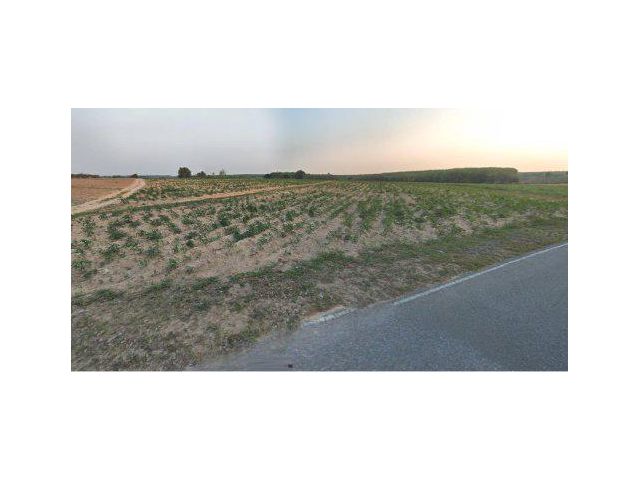 ขายที่ดิน 14 ไร่ ซอยมาบยางพร 3 ต.มาบยางพร อ.ปลวกแดง จ.ระยอง