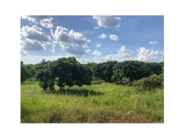 ขายที่ดินพร้อมสวนผลไม้ 96 ไร่ ติดถนนสายจันทบุรี-สระแก้ว อ.เขาสอยดาว จ.จันทบุรี