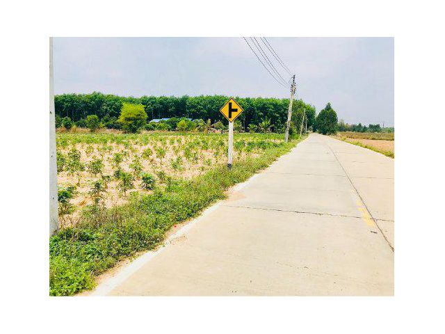 ขายที่ดิน 14 ไร่ ต.หนองเหียง อ.พนัสนิคม จ.ชลบุรี