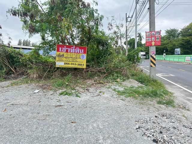 เช่าที่ดิน 3-0-58 ไร่  ตรงข้ามโรงเรียนสุวรรณวิทยาคาร บ้านสวน11