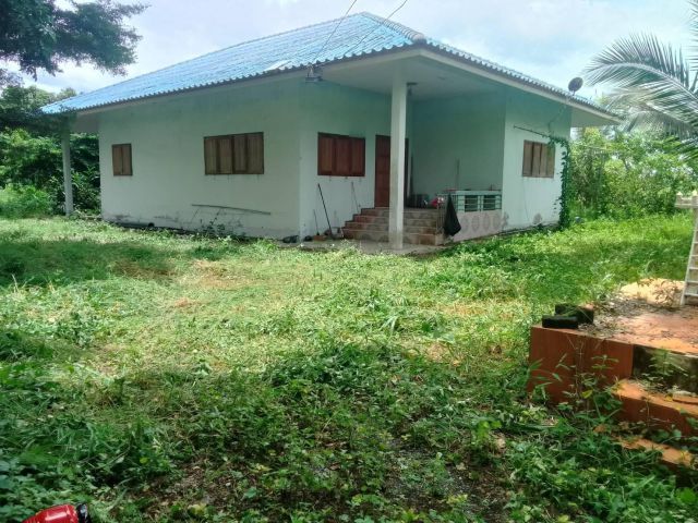 ขายสวนมะพร้าวกะทิ พร้อมบ้าน 6ไร่