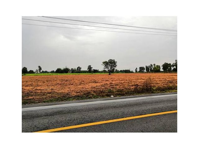 ขายที่ดินติดถนน ​20 ไร่​ 3 งาน​ อ.เชียงยืน​ ​ใกล้ขอนแก่น​ มีไฟฟ้า​ ​ประปา​ เจ้าของขายเอง  ไร่ละ​ 650,000  บาท