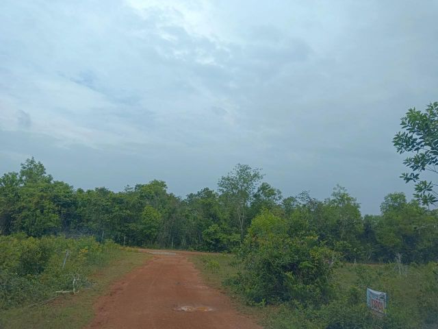 ที่ดินแปลงงาม 2 ห้อง ใกล้สนามบิน เหมาะสร้างบ้าน ขายด่วน!!!