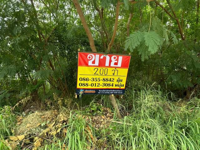 ขายที่ดิน 200 ตารางวา ซอยนารถมนตเสวี 11 ถนนพระยาสัจจา เมืองชลบุ