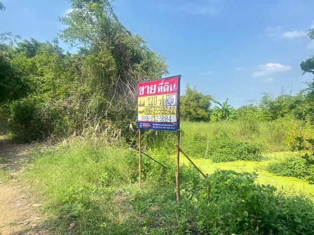 ขายที่ดิน 120 ตารางวา คูบางหลวง ลาดหลุมแก้ว ปทุมธานี