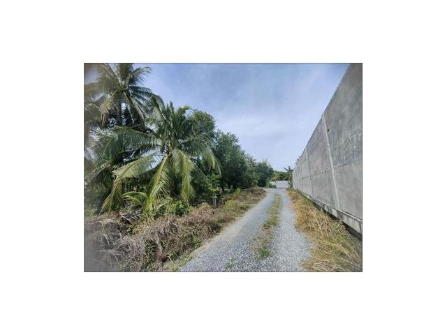 ขายที่ดิน ซอย อนามัยงามเจริญ 25 แยก 2-5 3-1-16ไร่ ราคา 39,478,684