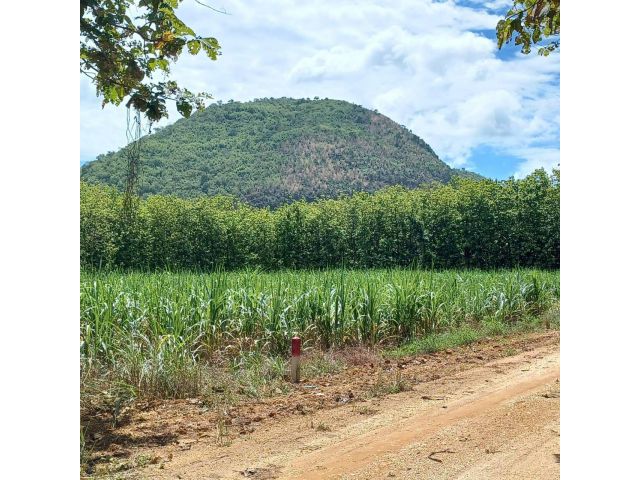 ที่ดินโฉนดครุฑแดง 6ไร่ วิวเขาหลังเต่าสวย