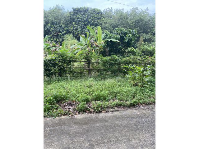 ขายที่ดิน1ไร่2งาน อยู่ บางบุตร บ้านค่าย ระยอง ขายยแปลง