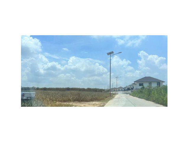 ขายที่ดิน 25 ไร่ ติดหมู่บ้านเบญญาภา ต.ตาสิทธิ์ อ.ปลวกแดง จ.ระยอง