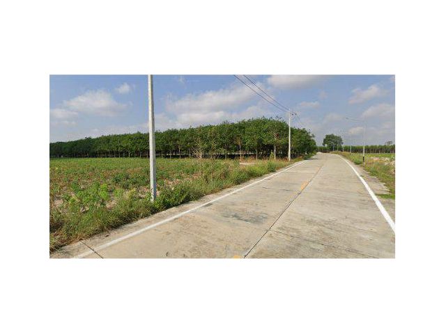 ขายที่ดิน 52 ไร่ ใกล้ถนน 331 ต.หนองปรือ อ.พนัสนิคม จ.ชลบุรี