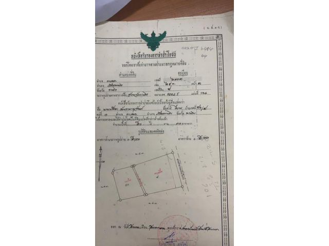 ขายที่ดินสวนยาง51ไร่ อยู่ สำนักทอง  เมือง ระยอง