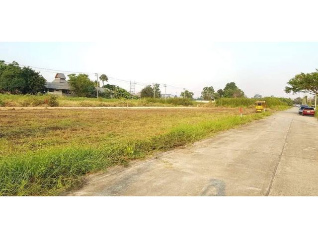 L1013 ขายที่ดินถมแล้ว ยกแปลง/แบ่งขาย 247.5 ตรว ธัญบุรี ปทุมธานี