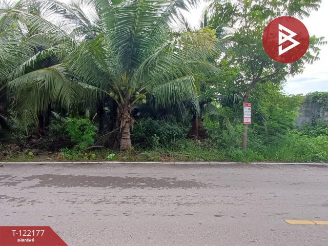 ขายที่ดิน 3 แปลง แปลงละ 2 งาน 34 ตารางวา คลองเขิน สมุทรสงคราม