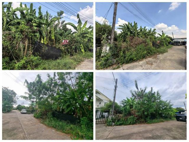 ขายที่ดินเปล่า 70ตรว. คลอง11 หมู่บ้านนริศรา ซ.4 ถูกกว่าราคาประเมิน เจ้าของขายเอง โทร 0969654945