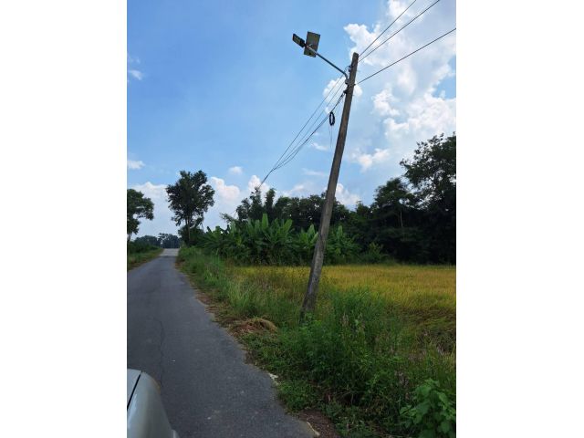 ขายที่ดิน แปลง 3ไร่ 2งาน