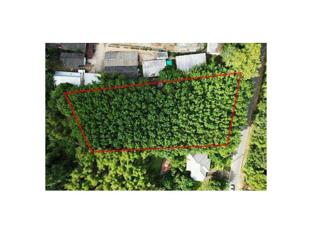 ทำเลทอง! ที่ดินติดถนน 2 ด้าน ใกล้ รพ.ปัว/โลตัส 5 นาที พร้อมยางพารากรีดได้ เขตเทศบาลปัว