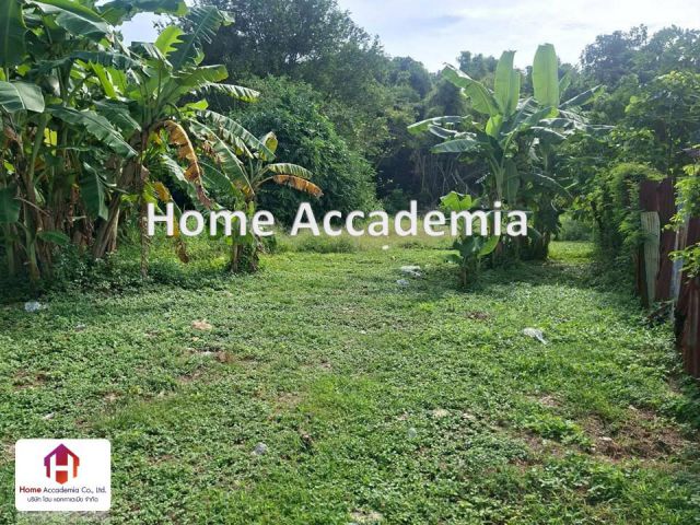 ขาย ที่ดินพร้อมสิ่งปลูกสร้าง ขนาดเนื้อที่ 3 งาน 2ตารางวา ที่ดินตั้งอยู่ อำเภอเมืองเพชรบุรี ตำบลธงชัย จังหวัดเพชรบุรี