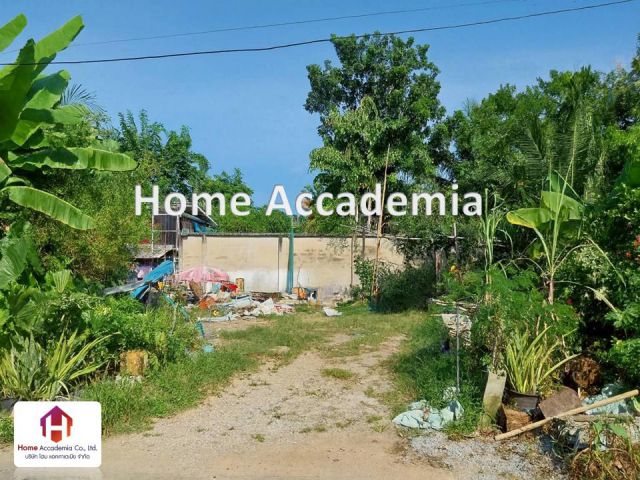 ขายที่ดินงามวงศ์วาน 47 (ชินเขต) 120 ตร.ว. ใกล้ The Mall และ ม.เกษตรฯ เหมาะสร้างบ้าน-ลงทุน