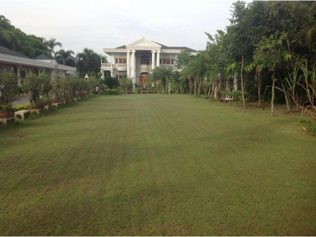 ขายคฤหาสน์หรู พื้นที่ 2 ไร่ ใกล้ตลาดหัวกุญแจ อ.บ้านบึง จ.ชลบุรี