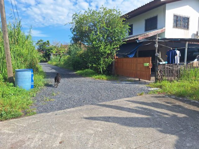 ขายที่ดิน 62 ตรว. ติดถนนใกล้หมู่บ้านโดมทอง อ.เมืองปทุมธานี จ.ปทุม