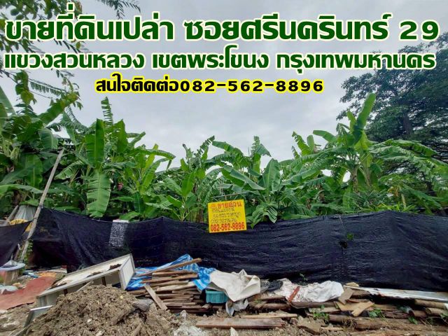 ขายที่ดินเปล่า ซอยศรีนครินทร์ 29 สวนหลวง กรุงเทพมหานคร