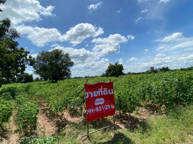 ขายที่ดิน 9-2-13 ไร่ ติดถนน ทำบ้านจัดสรรได้ ติดเทศบาล ตำบลเนินขาม อ.เนินขาม จ.ชัยนาท ขายถูกสุดในย่านนี้