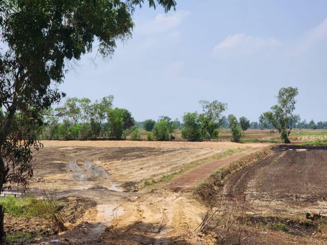 L1019 ขายที่ดินใกล้อบต.ดงกระทงยาม 21 ไร่ หน้ากว้าง 209 เมตร ศรีมหาโพธิ ปราจีนบุรี